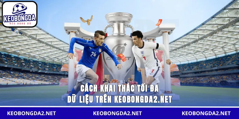 Cách khai thác tối đa dữ liệu trên dujiaoshou.io