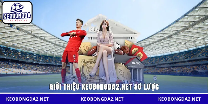 Giới thiệu dujiaoshou.io sơ lược
